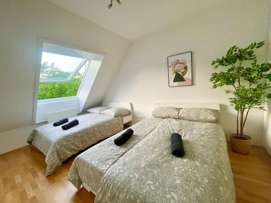 Renovated Premium Apartment