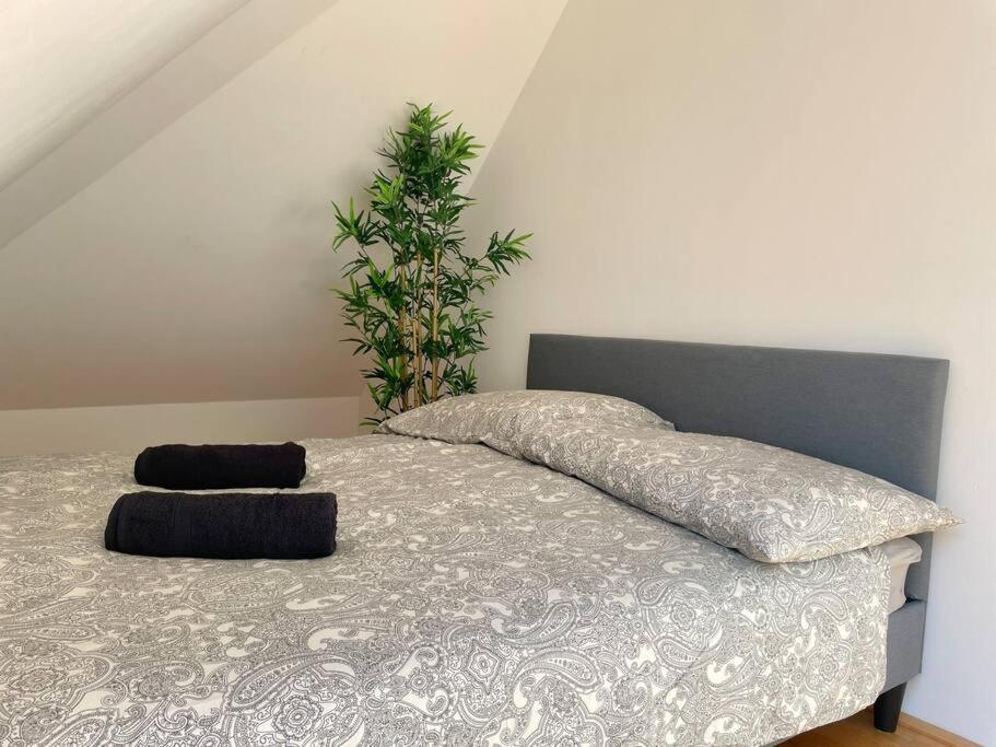 Apartment Renovated Premium *