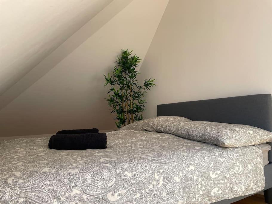 Renovated Premium * Wien